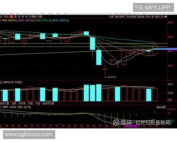 武汉羽毛球队与北京羽毛球队赛后复盘分析比赛节奏与战术对比 武汉羽毛球队与北京羽毛球队赛后复盘分析比赛节奏与战术对比
