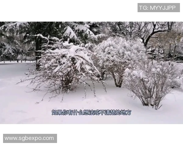 北京乒乓球队控制策略解析与热点动态深度剖析