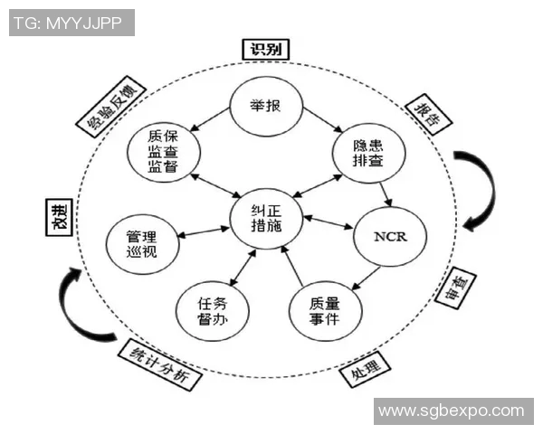 北京排球队战术解析：从技术细节到团队协作的全面探讨