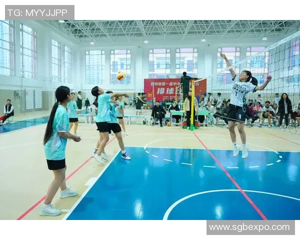 南京排球队最新比赛经验分享排球赛场的十个成功秘诀