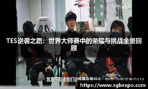TES逆袭之路：世界大师赛中的荣耀与挑战全景回顾