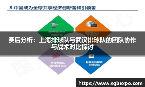 赛后分析:上海排球队与武汉排球队的团队协作与战术对比探讨