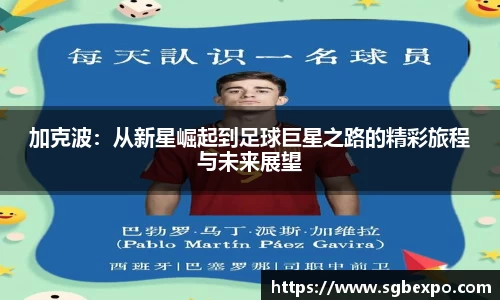完美体育