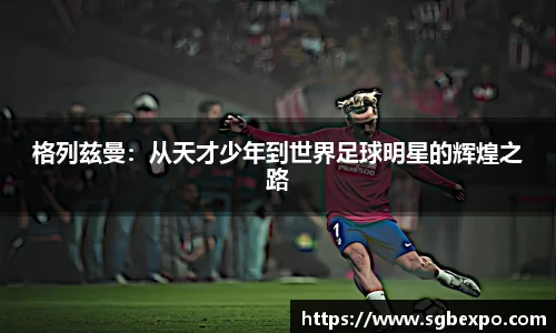 完美体育APP