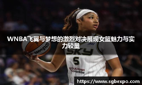 WNBA飞翼与梦想的激烈对决展现女篮魅力与实力较量