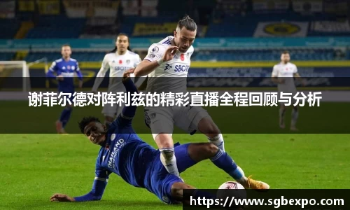 谢菲尔德对阵利兹的精彩直播全程回顾与分析