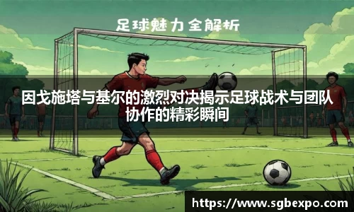 完美体育官网