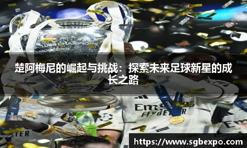 完美体育