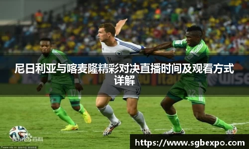 尼日利亚与喀麦隆精彩对决直播时间及观看方式详解